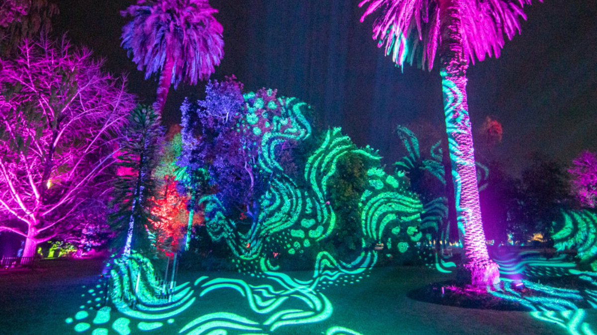 Discover the magic of Aurora ✨

Immerse yourself in unforgettable and vibrant installations, light projections and magical holograms. Tickets are on sale now!

📅 23 June - 16 July
⏰ 6.00pm-10.00pm
📍 Albury Botanic Gardens
🎫 Tickets: bit.ly/3WlfQHq