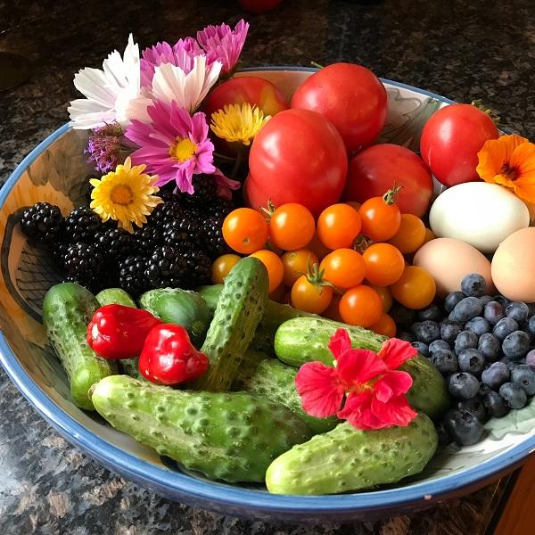 Natureworks Garden Center & Landscaping tweet media