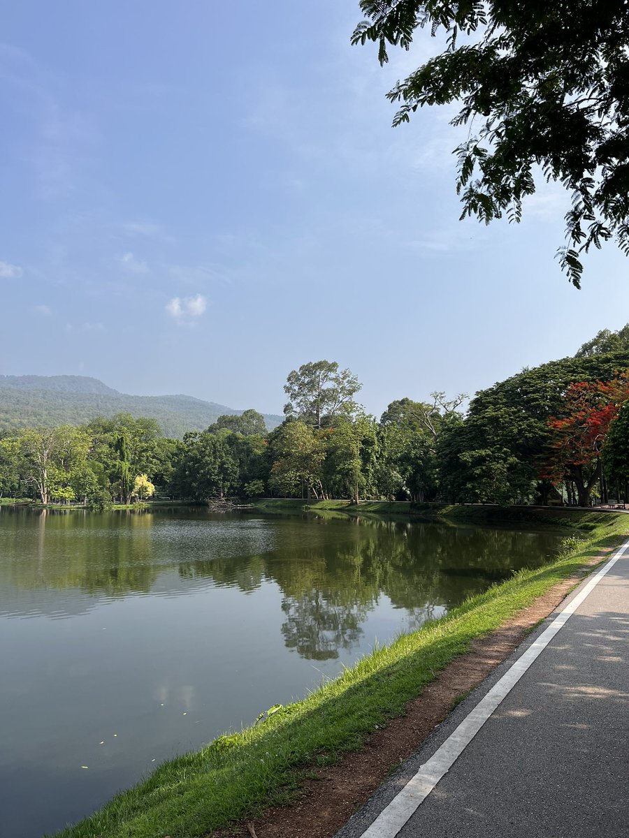 nickdanforth's tweet image. Morning steps. Always.