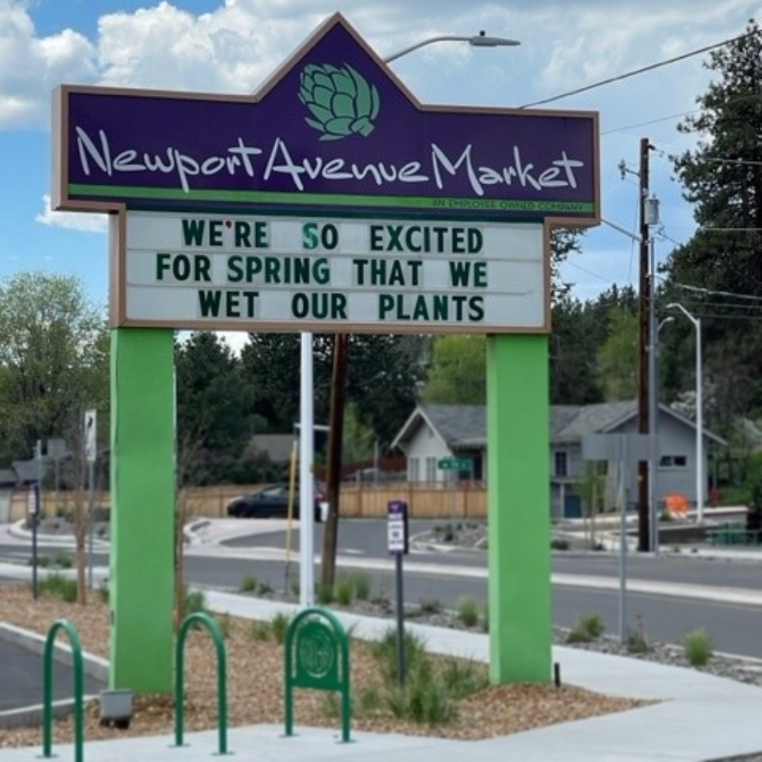 newportmarket's tweet photo. 🌱 We're so excited for Spring that we wet our plants! 💦
#onemarketakazillionwonders #newportavemarket #readerboard https://t.co/YlMOldQ70Z