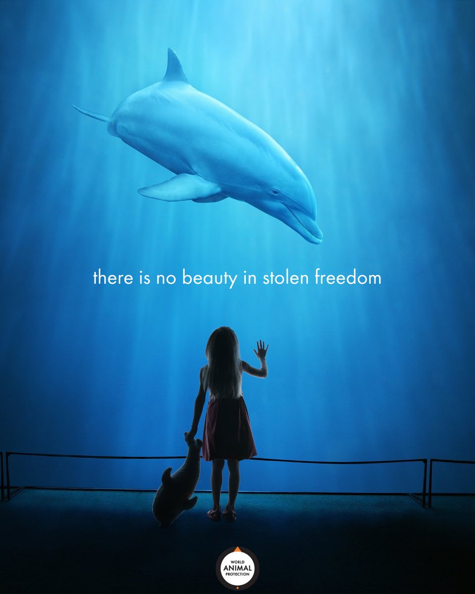 Don't be captivated by captivity. 💔