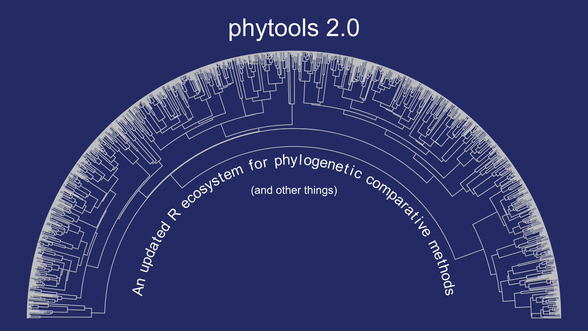 phytools_liam's tweet photo. An "arc" style phylogeny by #Rstats #phytools and arc text by #plotrix, plus phytools 2.0 has a pre-print (in revision): https://t.co/S3yL9ZQezM. https://t.co/NMJno3u83s