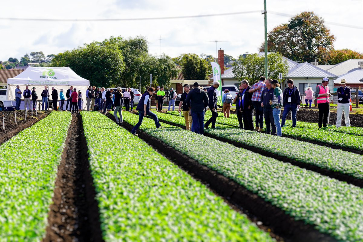 Rijk Zwaan Australia (@rijkzwaanau) on Twitter photo Delegates of the 10th International Spinach Conference recently joined Rijk Zwaan to tour spinach variety trials.
We discussed seed production and how vegetable breeding is responding to global disease trends. Read about the field day: bit.ly/Spinach-Confer…
<a href="/EGVIDSpinach/">International Spinach Conference</a> Delegates of the 10th International Spinach Conference recently joined Rijk Zwaan to tour spinach variety trials.
We discussed seed production and how vegetable breeding is responding to global disease trends. Read about the field day: bit.ly/Spinach-Confer…
<a href="/EGVIDSpinach/">International Spinach Conference</a>