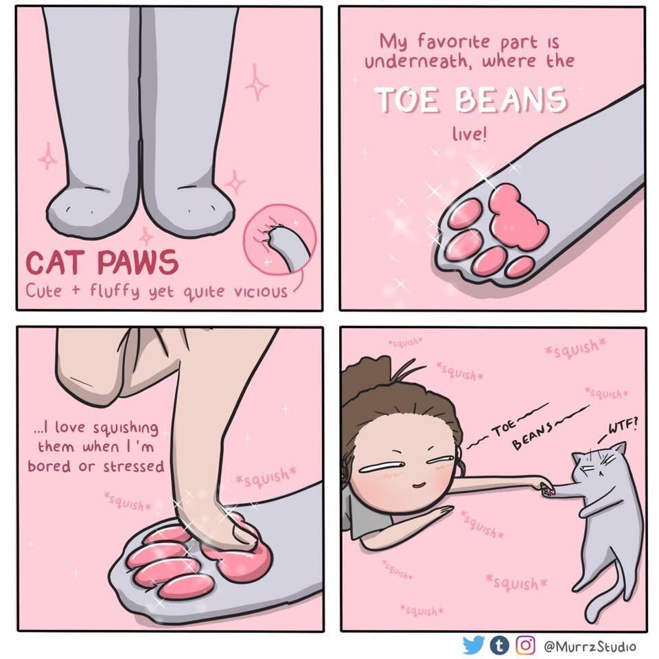 Lover her comics. via reddit.com/r/jellybeantoe…
