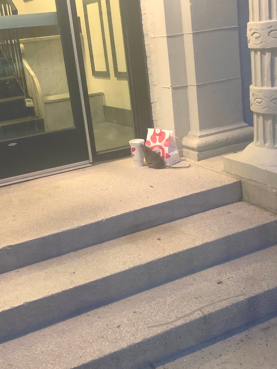 Only In Boston tweet media