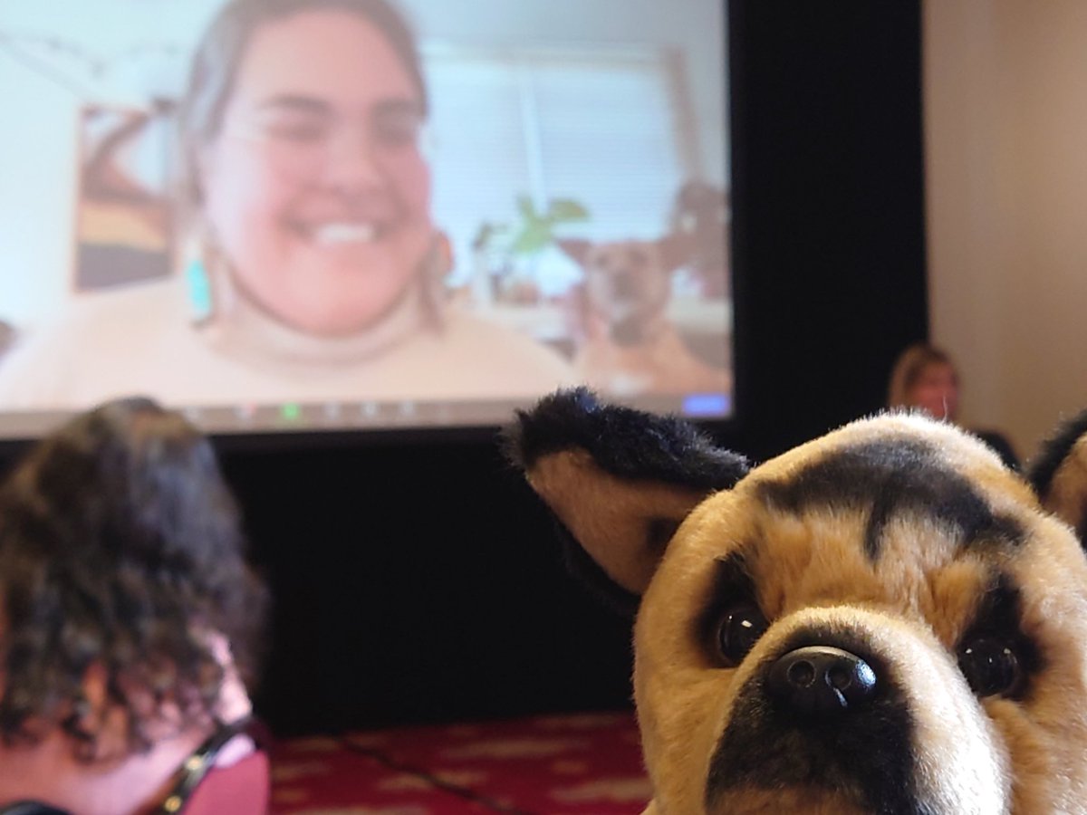 Who will take the puppy? Find out in a few minutes... #amaga2023