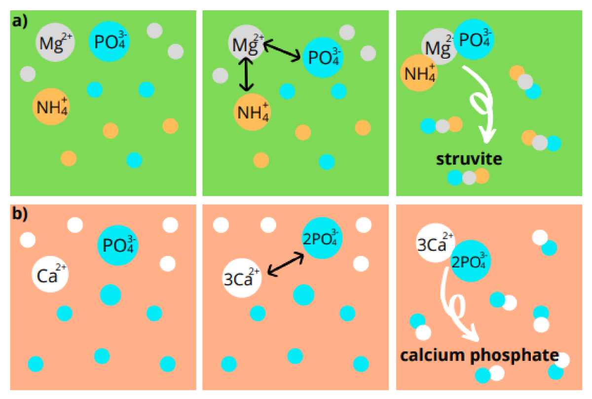 Sus_MDPI's tweet photo. #HighCite

Second-Generation Phosphorus: Recovery from Wastes towards the Sustainability of Production Chains

by Camila Ester Hollas, et al.

https://t.co/yEFWtfzACw

#wastetreatment #struvite #chemicalprecipitation #biologicalrecovery https://t.co/6L2gAnp1A2