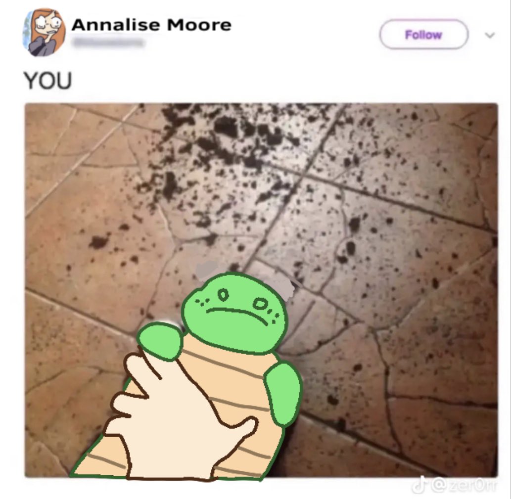 ceejaygout's tweet image. Rt if you’re a #turtletales fan