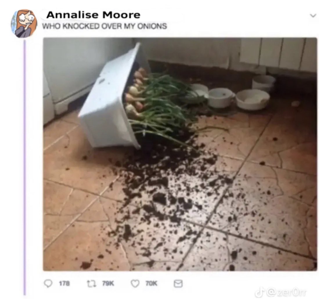 ceejaygout's tweet image. Rt if you’re a #turtletales fan