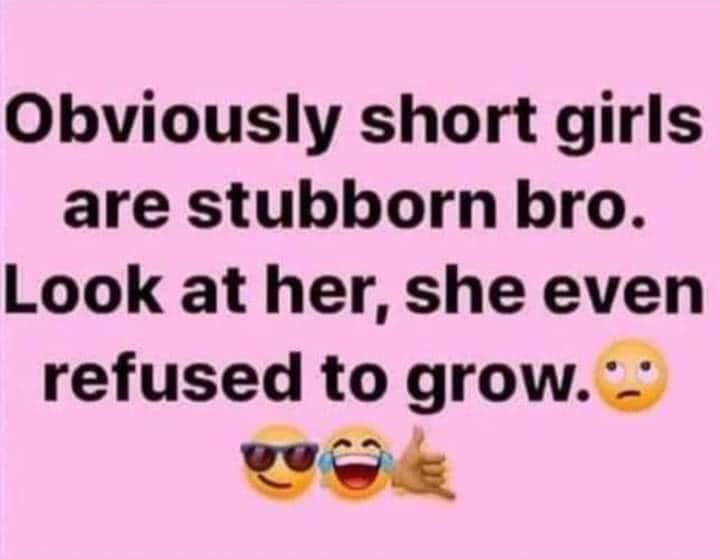 phaylen's tweet photo. I stopped growing in 5th grade but let me tell you, 5'2 girls might be smol but they have a stingerrrrrrrrrrr #SmallbutDangerous https://t.co/fRR7zVlROO