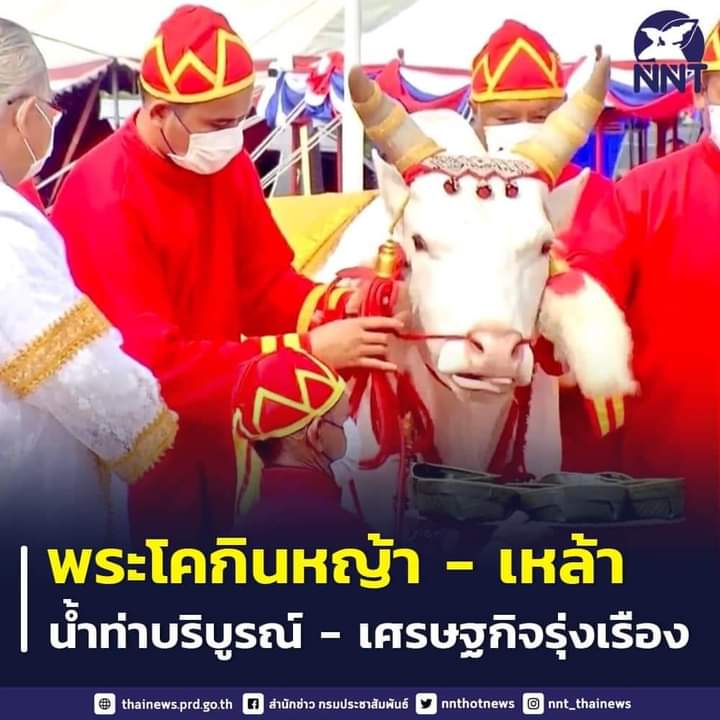 centerarmy1's tweet photo. 🌿🌿 พระโคเสี่ยงทาย ปี 2566 กินหญ้า - เหล้า น้ำท่าบริบูรณ์ เศรษฐกิจรุ่งเรือง ..อ่านต่อ//..https://t.co/ayxPC8Tour https://t.co/qVs5sFhFtL