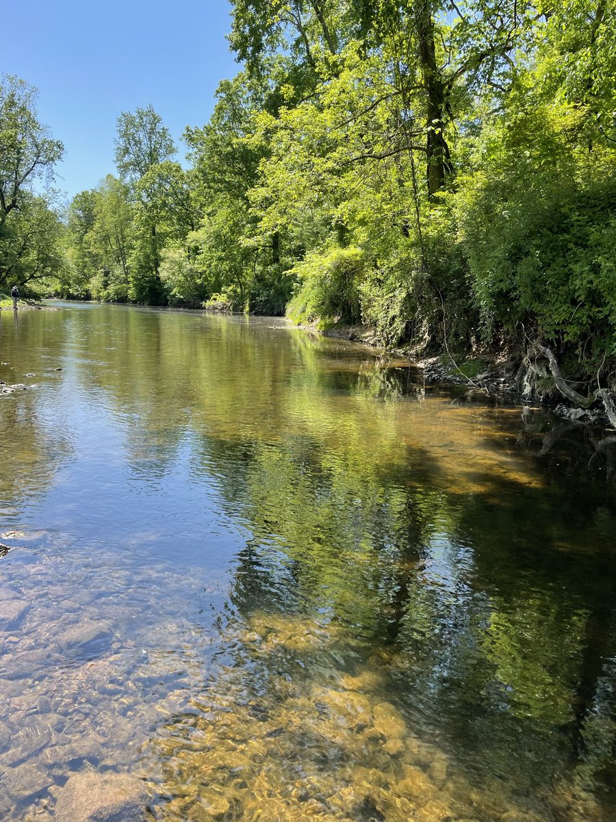 Jennifer French tweet media