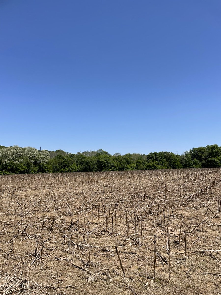 Jennifer French tweet media