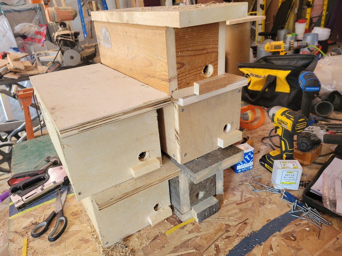 Happy #WorldBeeDay!
Besides our #honeybees, these little fuzzy #bumblebees are one of our favorite #pollinators in our #haskap and #currant orchards that we decided to build them their own #nestingbox to both #increasepopulation and encourage them to stay locally! 
#NWObees