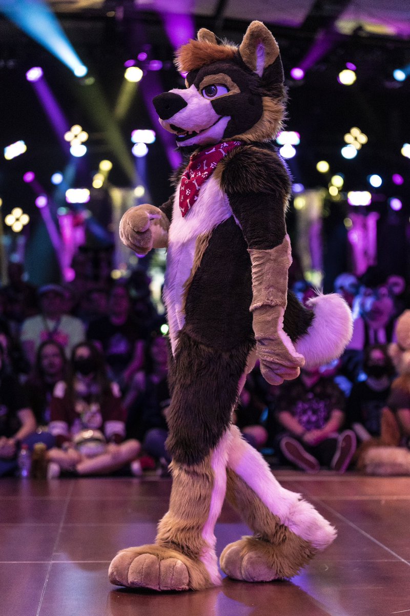 Dance doggo 🐾: @cinnamontail 📸: me #fwa #fwa2023 #furryweekend #furryweekendatlanta #furrycon #fursuit #fursuiting @FurryWeekend