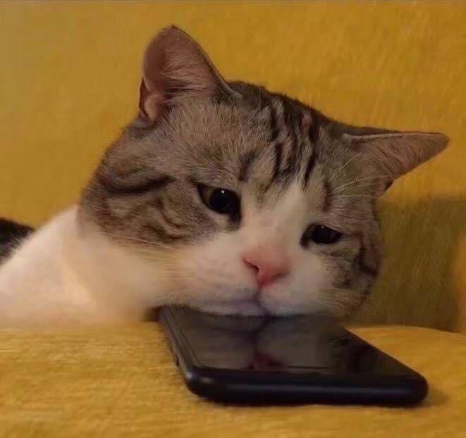 뭐 tweet media