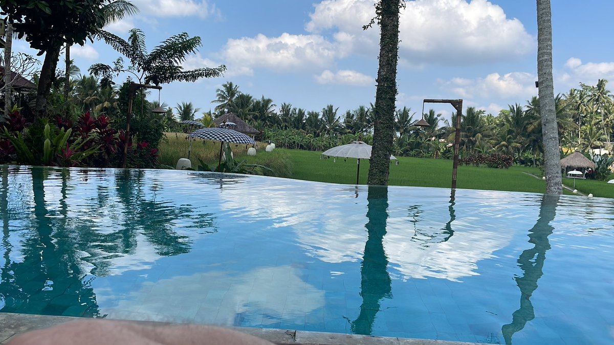 cezardb's tweet image. New place, perfect for relaxing #bali #MultiversX #EAPE