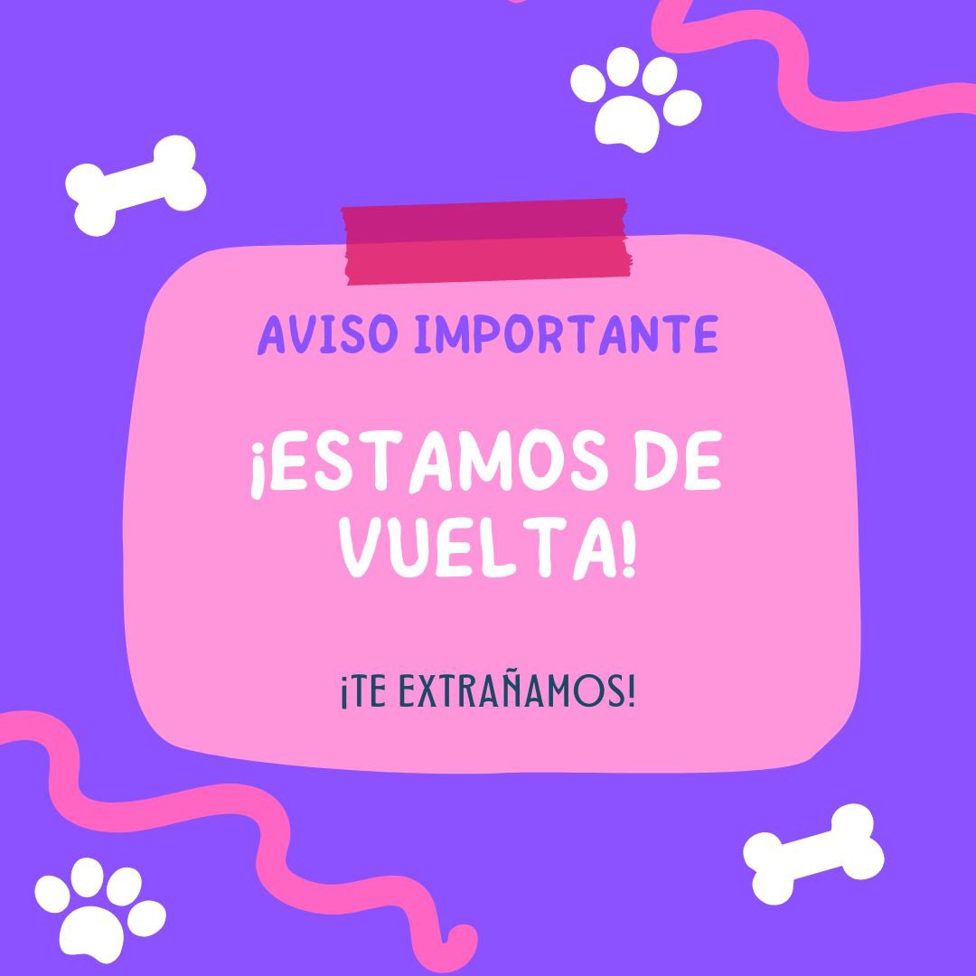 RehileteRepos's tweet photo. Hola! Estamos de vuelta! Gracias por esperarnos y estamos a tus órdenes para sorprender a los consentidos de la casa 5556882703 checa nuestro menú en línea https://t.co/9RwuXTKPtK 🐶 https://t.co/vGlRlI2xKi