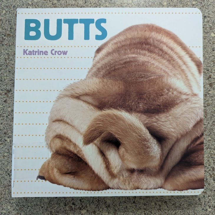 MsDevDev's tweet image. The most important book to read at the library.