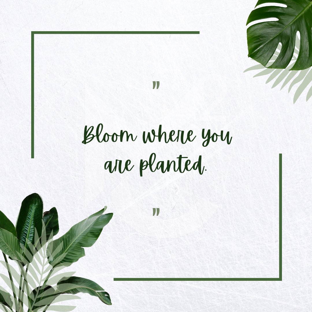 Mastering Campus Careers, MC² tweet media