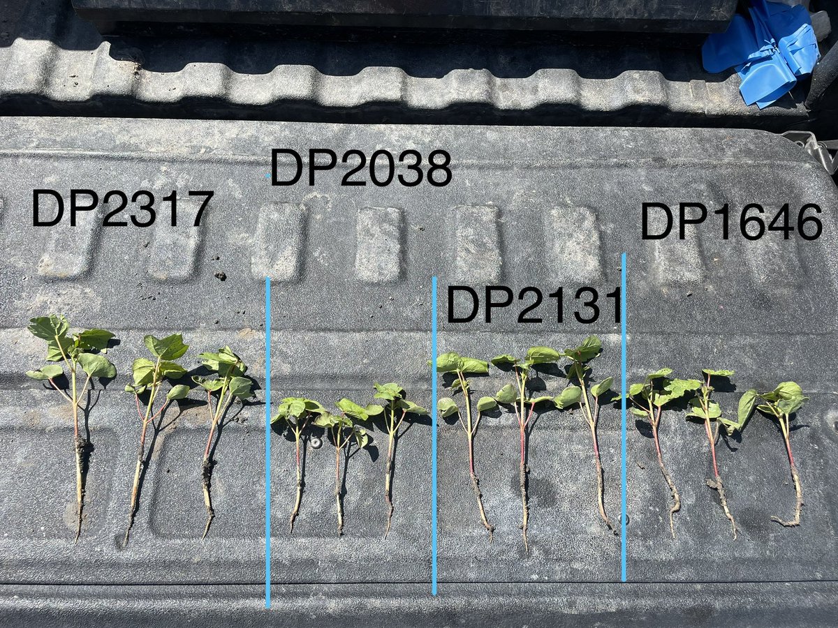 Travis Courtney tweet media