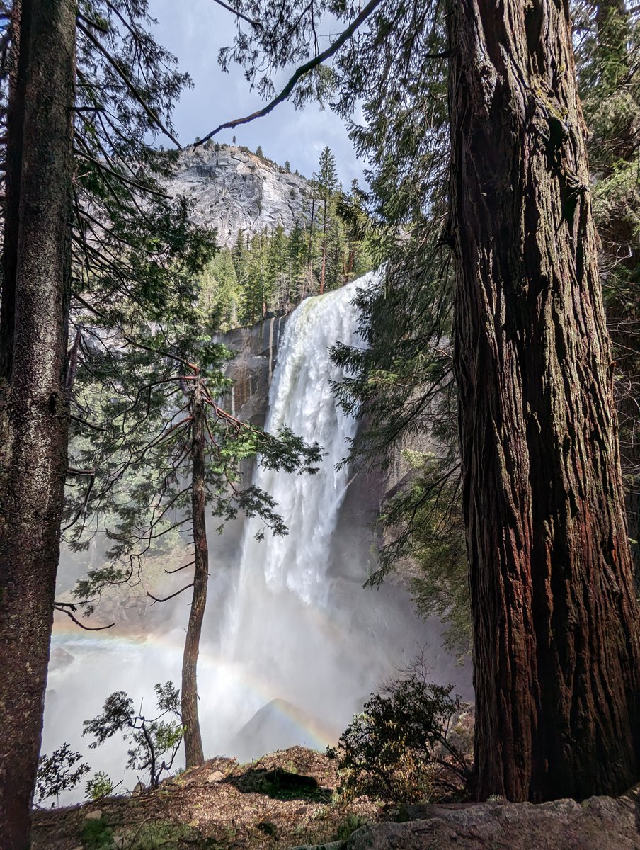 GeneralMcBadass tweet media