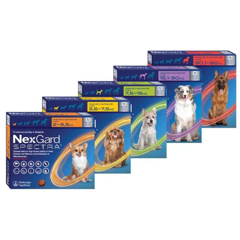 Tangkiii's tweet photo. ขายค่ะ สนใจทักแชท ~
Nexgard Spectra ยากำจัดเห็บและหมัดสำหรับสุนัขชนิดเค��้ยวน้ำหนัก 2-3.5 kg. 🧡
 
ราคา 1,960 บาท (ส่งฟรี)
·͜·♡ สินค้าของแท้แน่นอน 100 %

#petshop #สุนัข #กำจัดเห็บหมัด #ยากำจัดเห็บหมัด #สัตว์เลี้ยง #อุปกรณ์สัตว์เลี้ยง #ตลาดนัดสัตว์เลี้ยง #ทาสหมา #ของใช้หมา #หมา https://t.co/4WCuA5y9H8