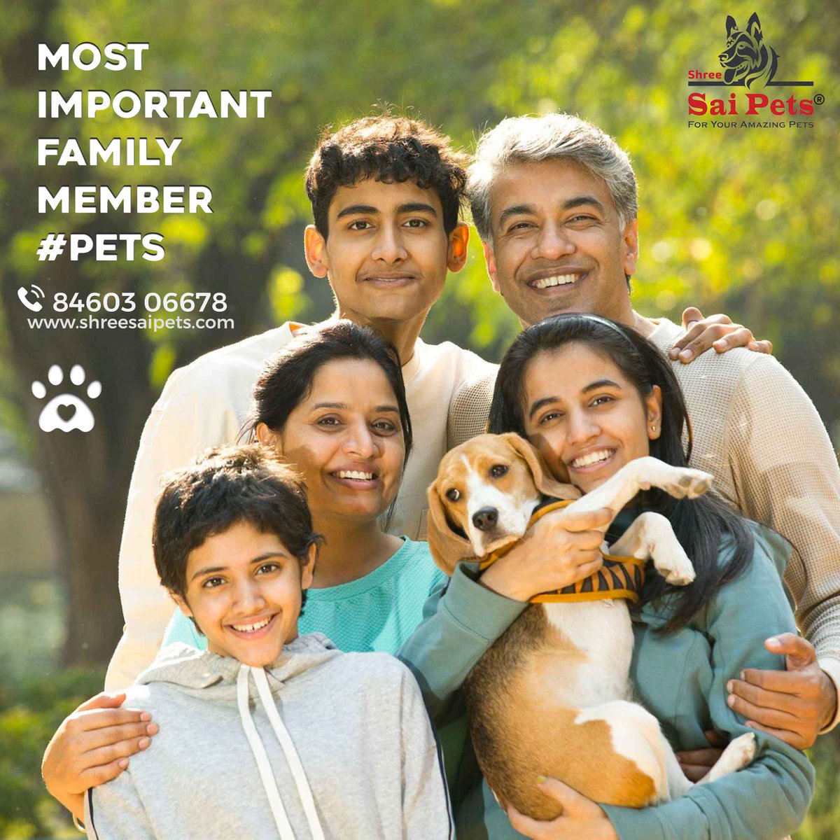 Most Important #FamilyMember #Pets !
#Beagle #DogBread #petshop #cutepets #petscorner #petsofig #picpets #petsitter #worldofcutepets #petsmart #petsitting #lovepets #exoticpets #petsofinsta #shopetsy #petsgram #friendlypets #ShreeSaiPets #inspiredbypets #petsarefamily #igpets