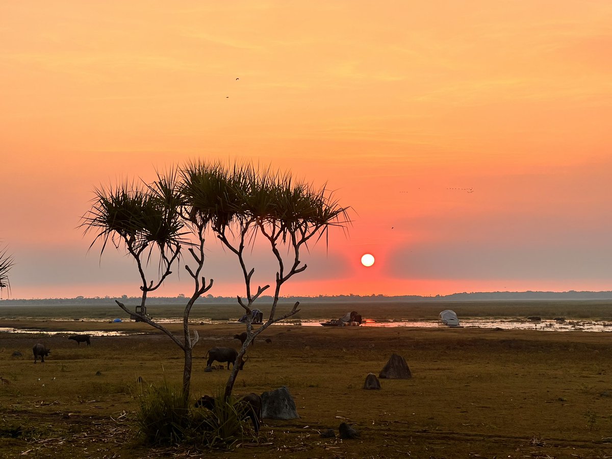 Little sad to be leaving this wild place