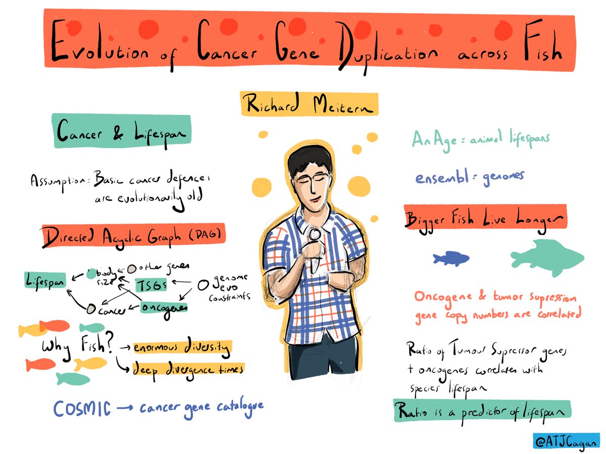 TuulSeppLab's tweet photo. Incredible illustrations by @ATJCagan to our group members' talks on the first meeting of the European Wildlife Cancer Network (WildCan) in la Rochelle! https://t.co/HvOiysZR9J