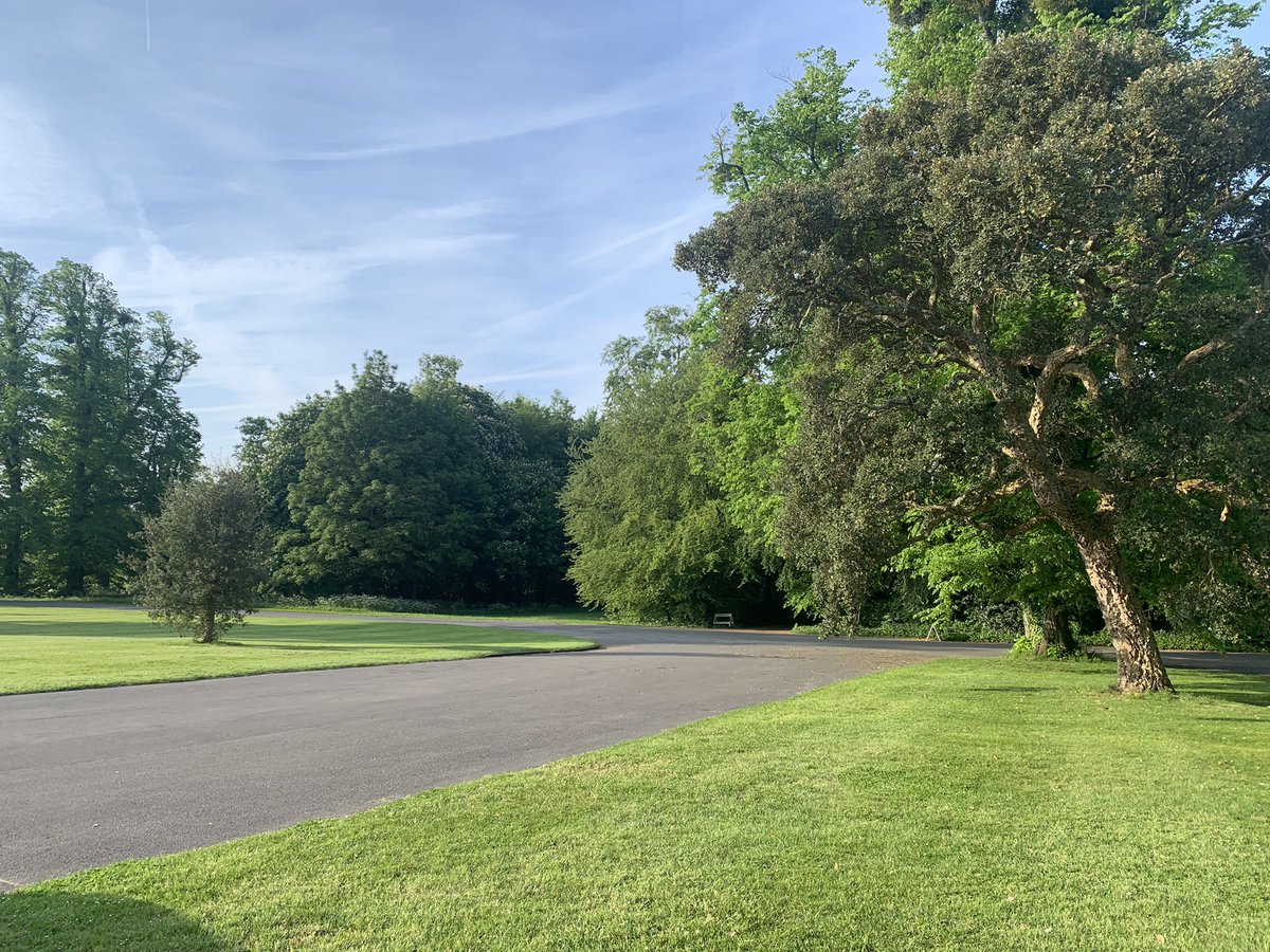 We made it through the night, and this is our view this morning. #Y5Camp2023 Breakfast at 8. Children been up since 5:20. 🤦🏼‍♂️