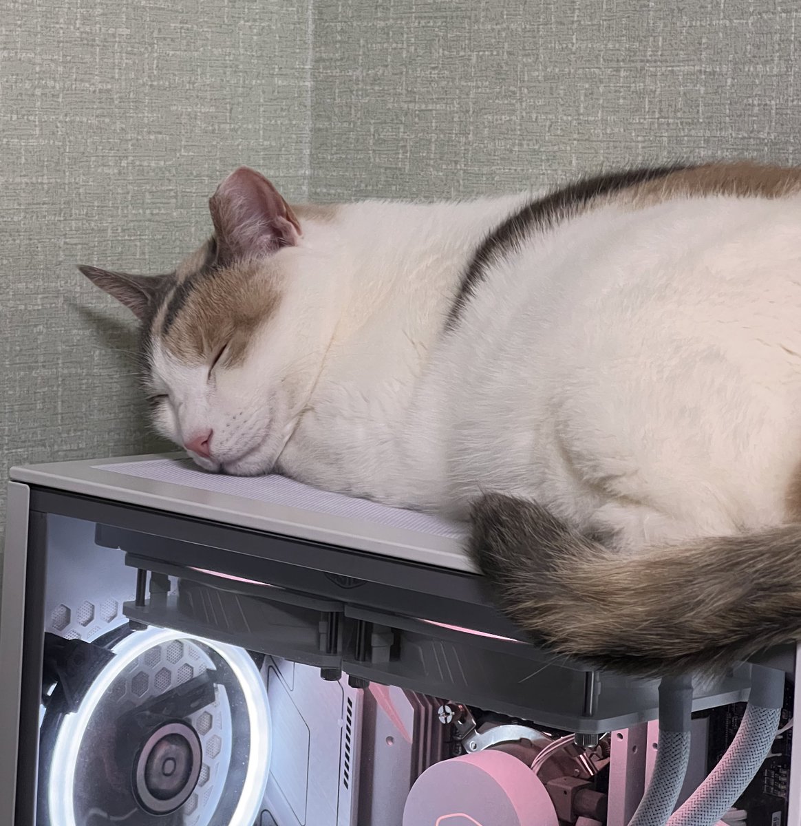 잘자 애기 고영희

컴퓨터 : 터질께