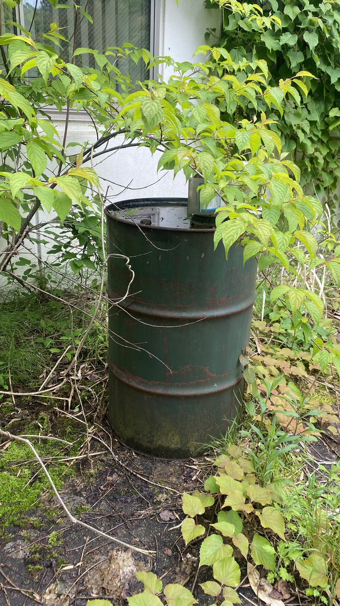 シゲタ動物薬品工業』 動物用のワクチンや血液製剤などの研究、開発を