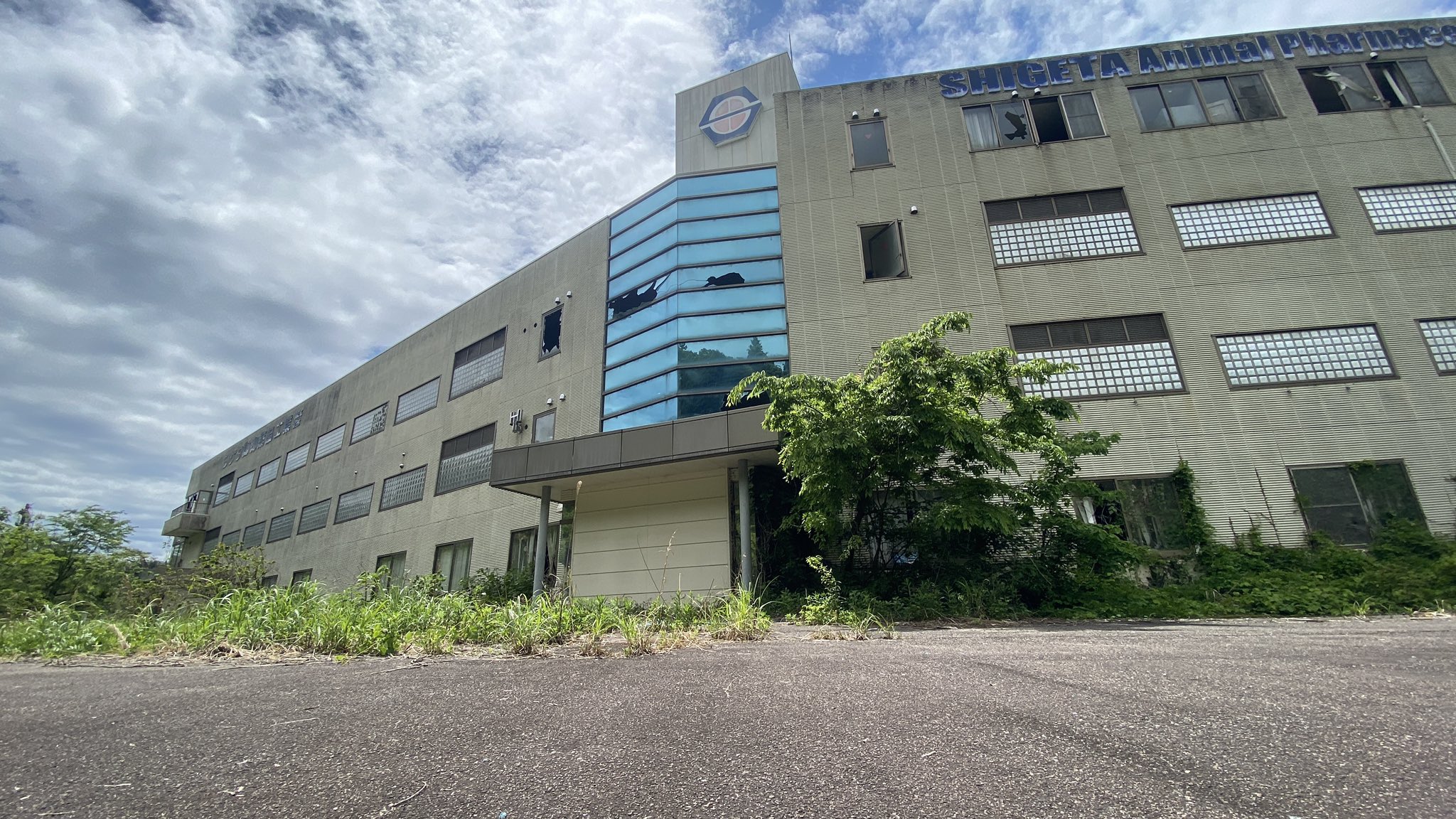 シゲタ動物薬品工業 貴重。