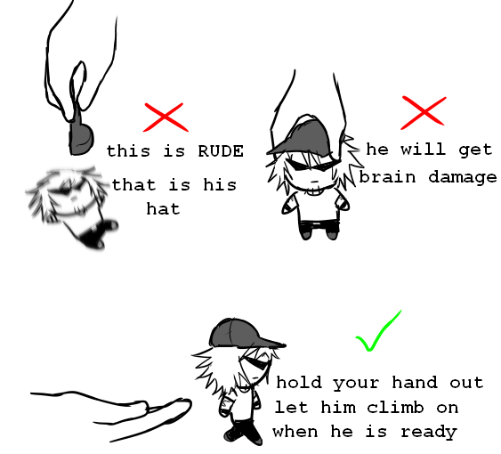 dailybrostrider's tweet photo. day 30
the correct way https://t.co/of6DQJ8yXq