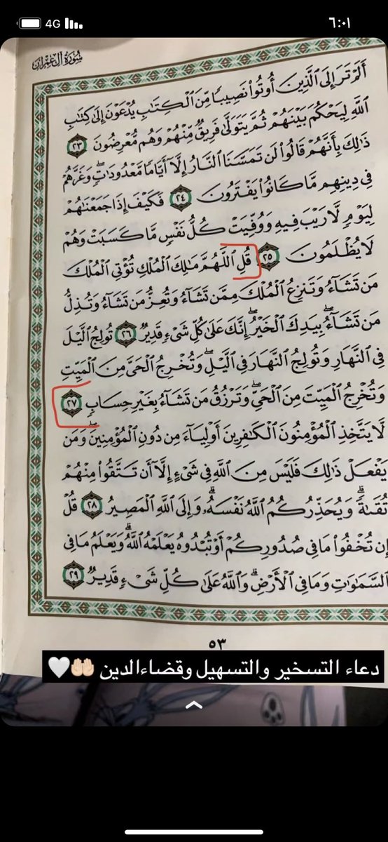 #كليات_التربيه_والاقدميه