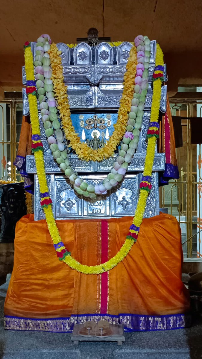 Sri Rayara and Sri Vadeendrara Darshana - 18th May, Vaishaka Krishna Chaturdashi.