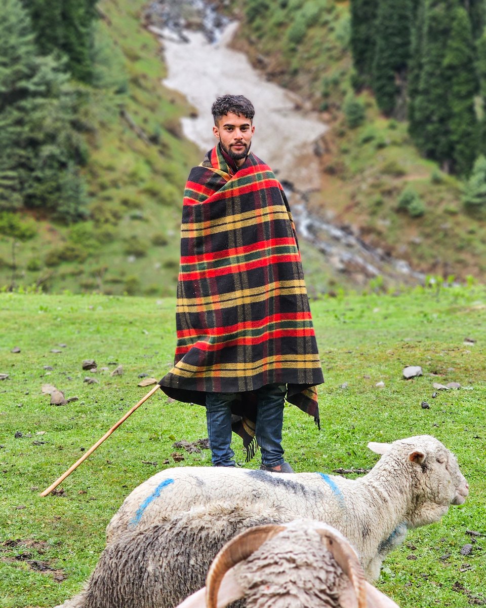 Umer Nazir tweet media