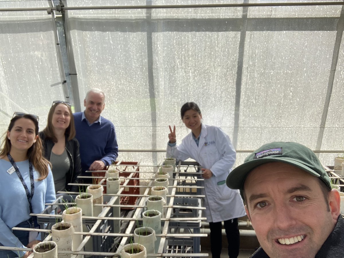 Bede Mickan tweet media