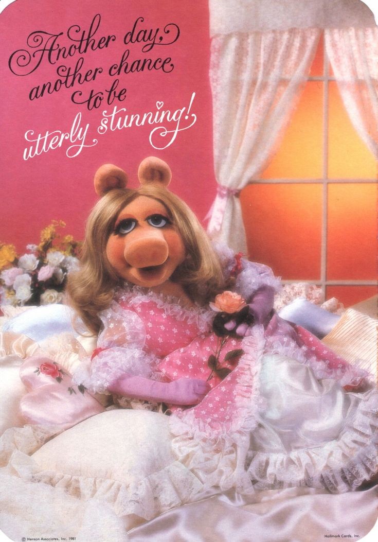 janebellMP's tweet photo. @MuppetMulaney 💋🐽 https://t.co/hBLGxwYwxO