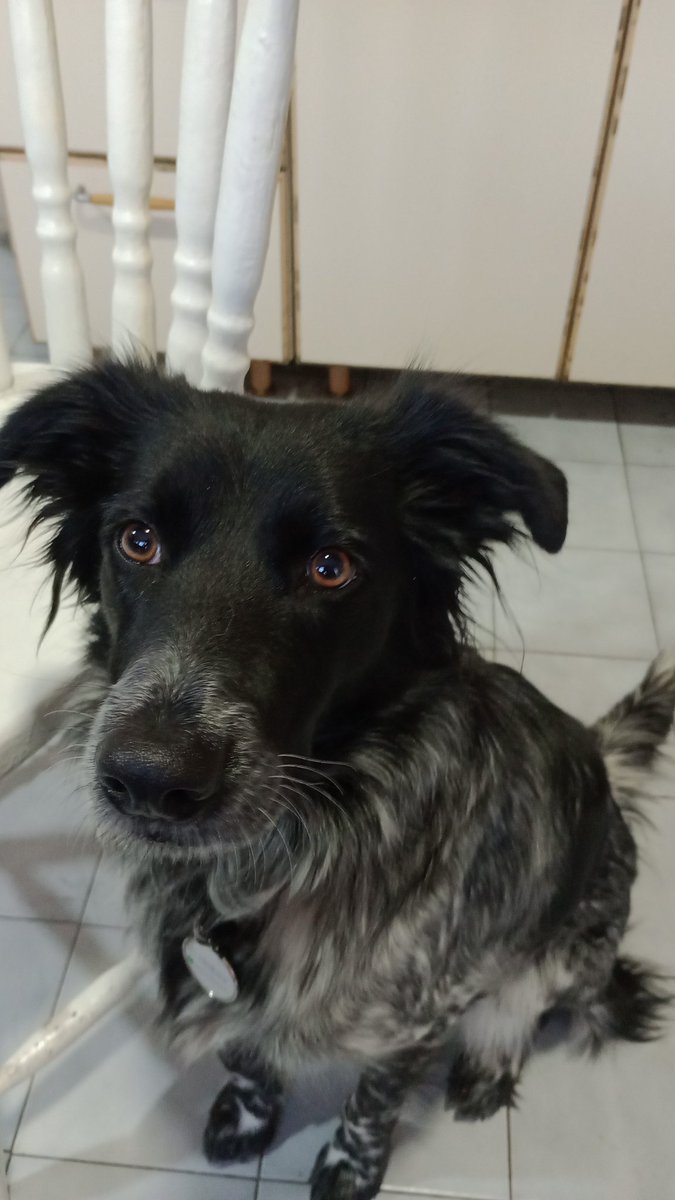 No entiende porqué lloro, pero ahí está. Firme. Te amo pequeña manteca.