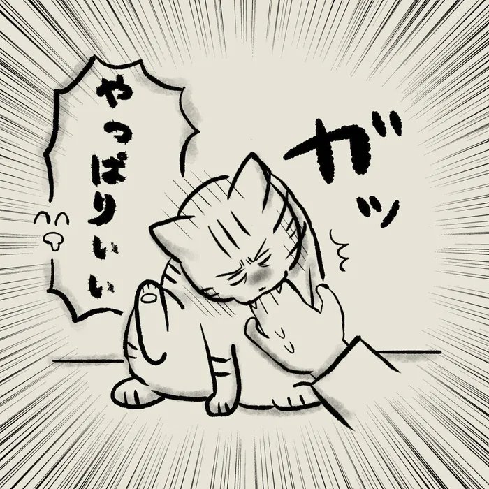 猫のペロペロは尊い!毛づくろい中にそっと手を差し出してみると?【連載】交通事故にあった猫を拾いました#113|ねこのきもちWEB MAGAZINE 