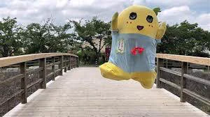 @shuyaoutdoors 粛々と人身事故扱いで
忖度なんかする必要なっしー！
点数ぶっしゃーしたり 