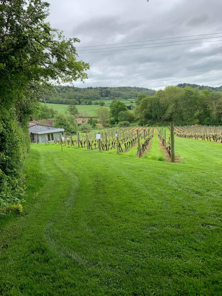 evesham ramblers tweet media