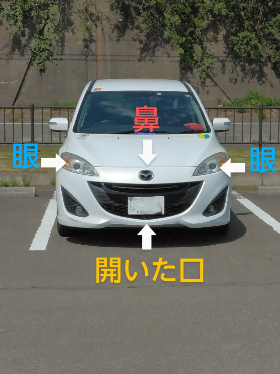 w75mvnnWJhrMden's tweet photo. 今、思ったんですが、PREMACYって思いっきり「キツネ顔」ですよね😅
お口あんぐり開けたキツネさん🦊🦊🦊
#PREMACY https://t.co/CepxcjhN2P