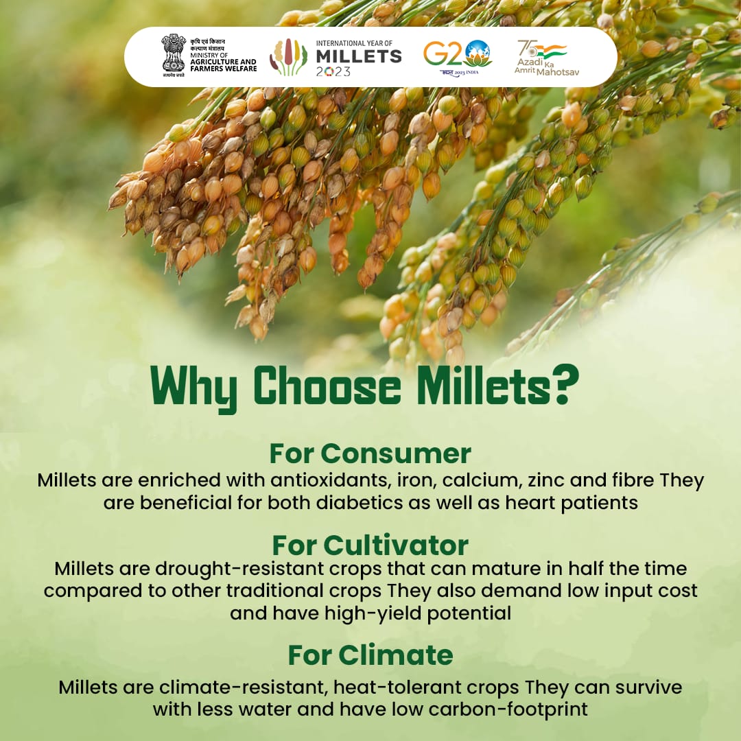 Why choose Millets ?

 #MoRD #InternationalYearofMillets #IYM2023 #Millets #KnowYourMillets
 #ShreeAnna