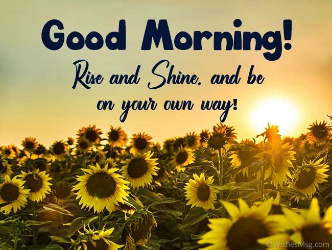 AlblasEric's tweet image. Goedemorgen (nieuwe)volgers het is donderdag 18 mei 2023. Fijne Dag &amp;amp; Groet van Eric !