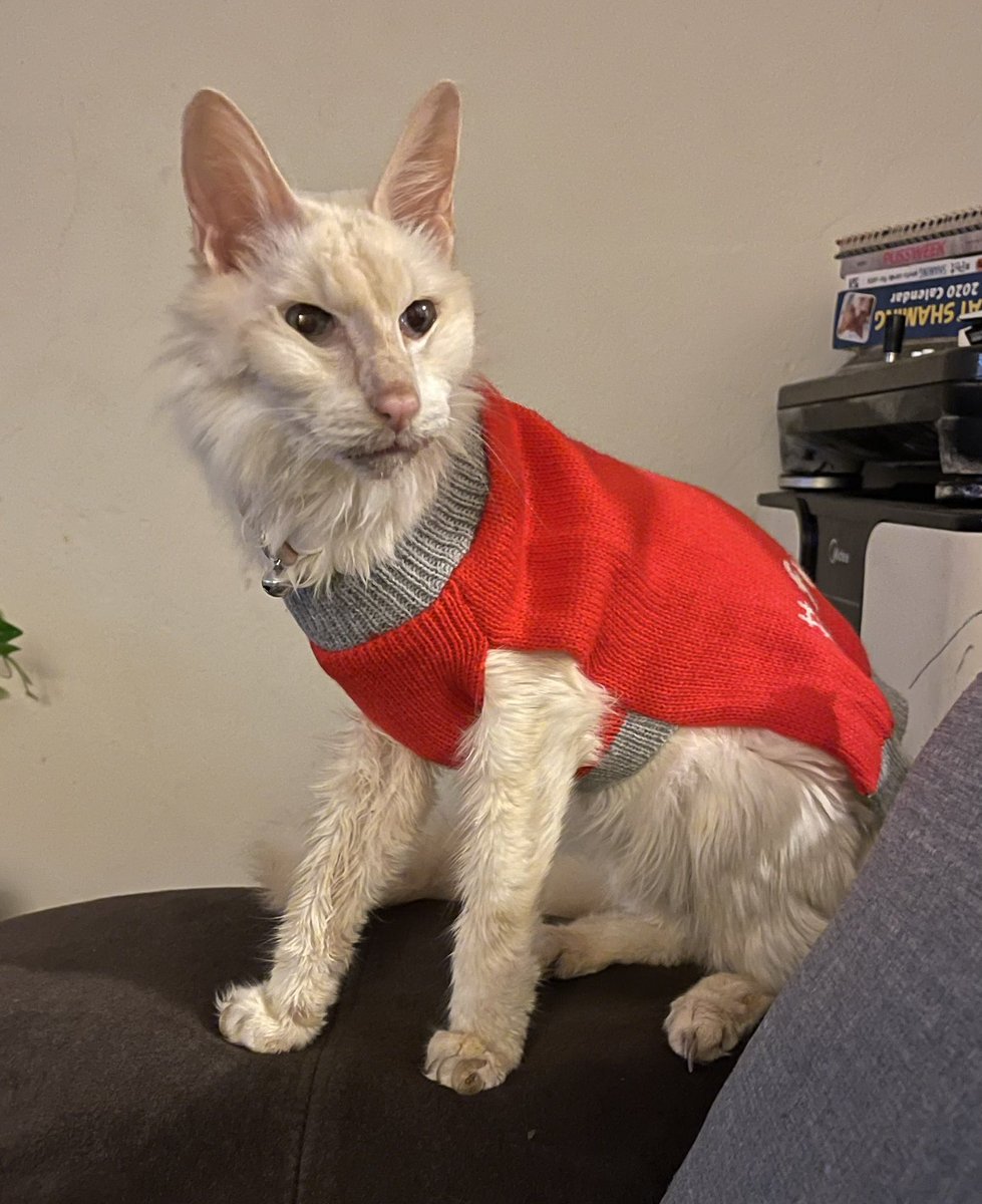 Andy Alucard tweet media