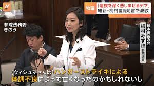 妄想が暴走する梅村みずほ議員
ヘビ年生まれ馬場代表のしっこさに負けないように、今日も梅村みずほの人でなし発言を紹介します。