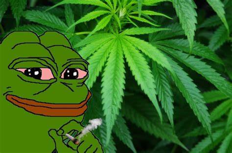 Stoned Pepe on Twitter: 